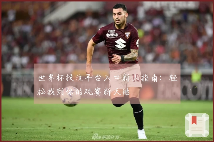 世界杯投注平台入口新人指南：轻松找到你的观赛新天地