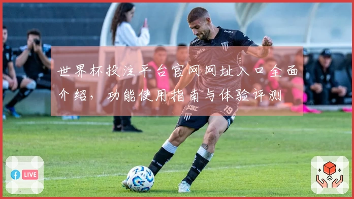 世界杯投注平台官网网址入口全面介绍，功能使用指南与体验评测