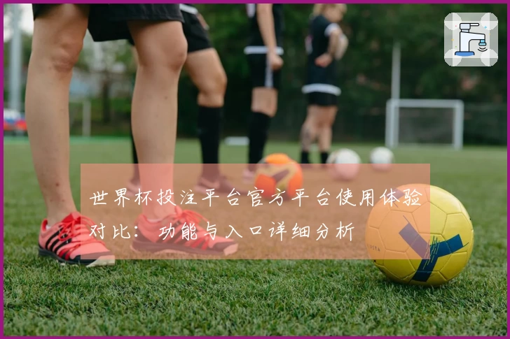 世界杯投注平台官方平台使用体验对比：功能与入口详细分析