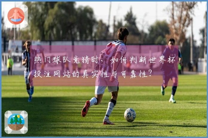 热门球队竞猜时，如何判断世界杯投注网站的真实性与可靠性？