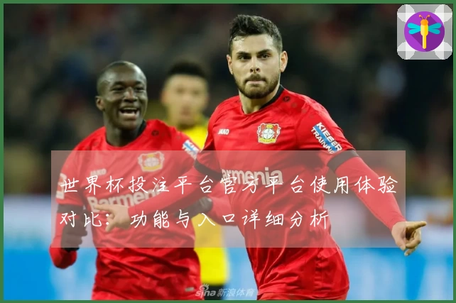 世界杯投注平台官方平台使用体验对比：功能与入口详细分析