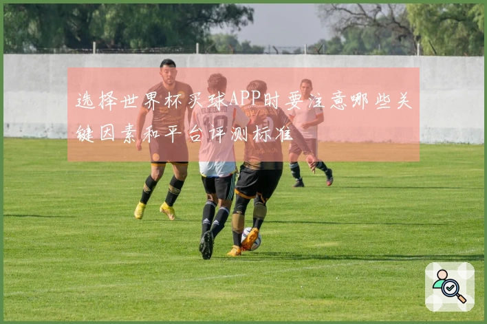 选择世界杯买球APP时要注意哪些关键因素和平台评测标准