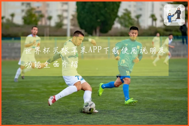 世界杯买球苹果APP下载使用说明及功能全面介绍