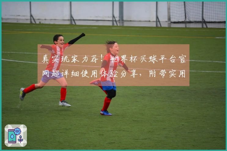 真实玩家力荐！世界杯买球平台官网超详细使用体验分享，附带实用技巧
