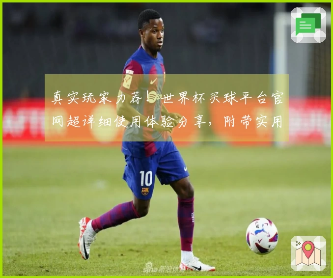 真实玩家力荐！世界杯买球平台官网超详细使用体验分享，附带实用技巧