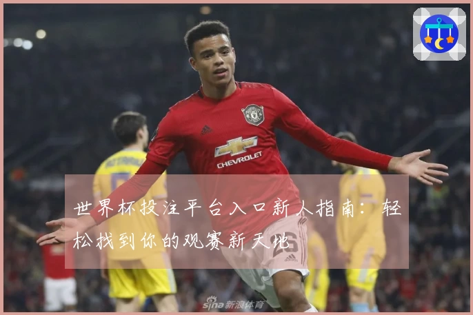 世界杯投注平台入口新人指南：轻松找到你的观赛新天地