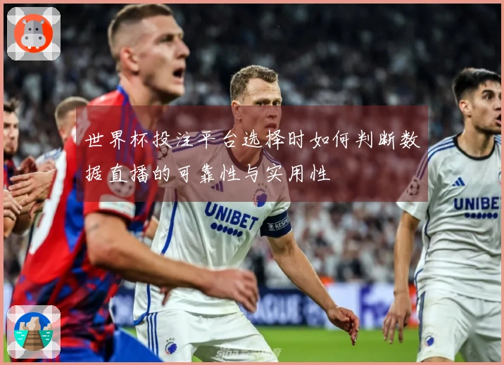世界杯投注平台选择时如何判断数据直播的可靠性与实用性